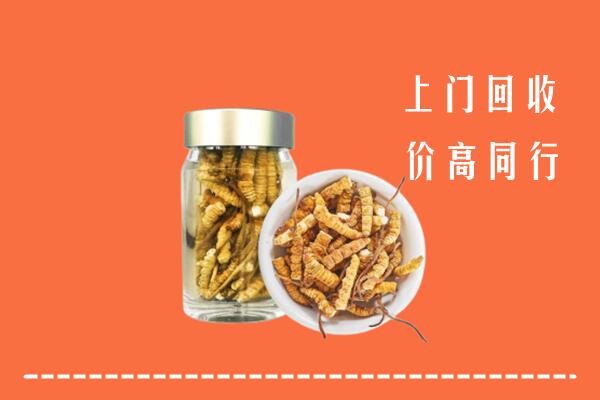 巴彦卓尔乌拉特中回收冬虫夏草